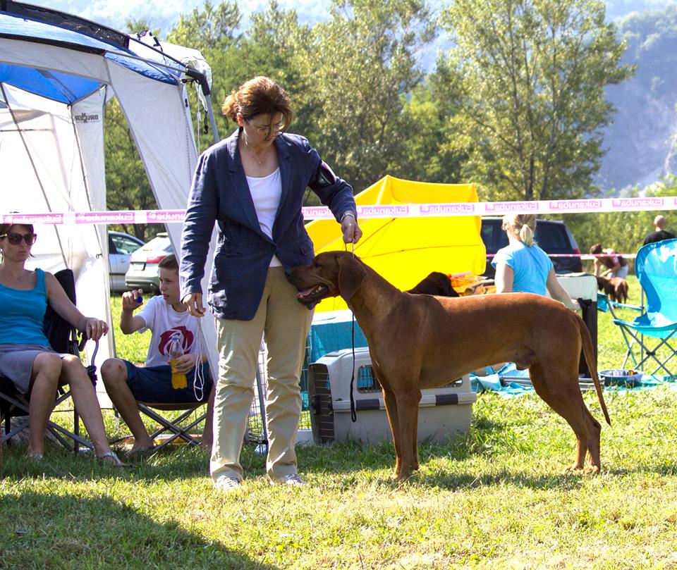 CAC Trbovlje (SLO)